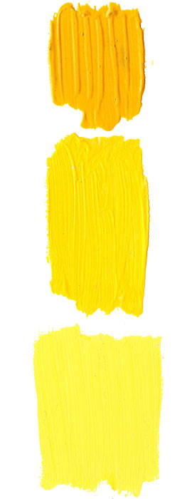 yellow paint swatches